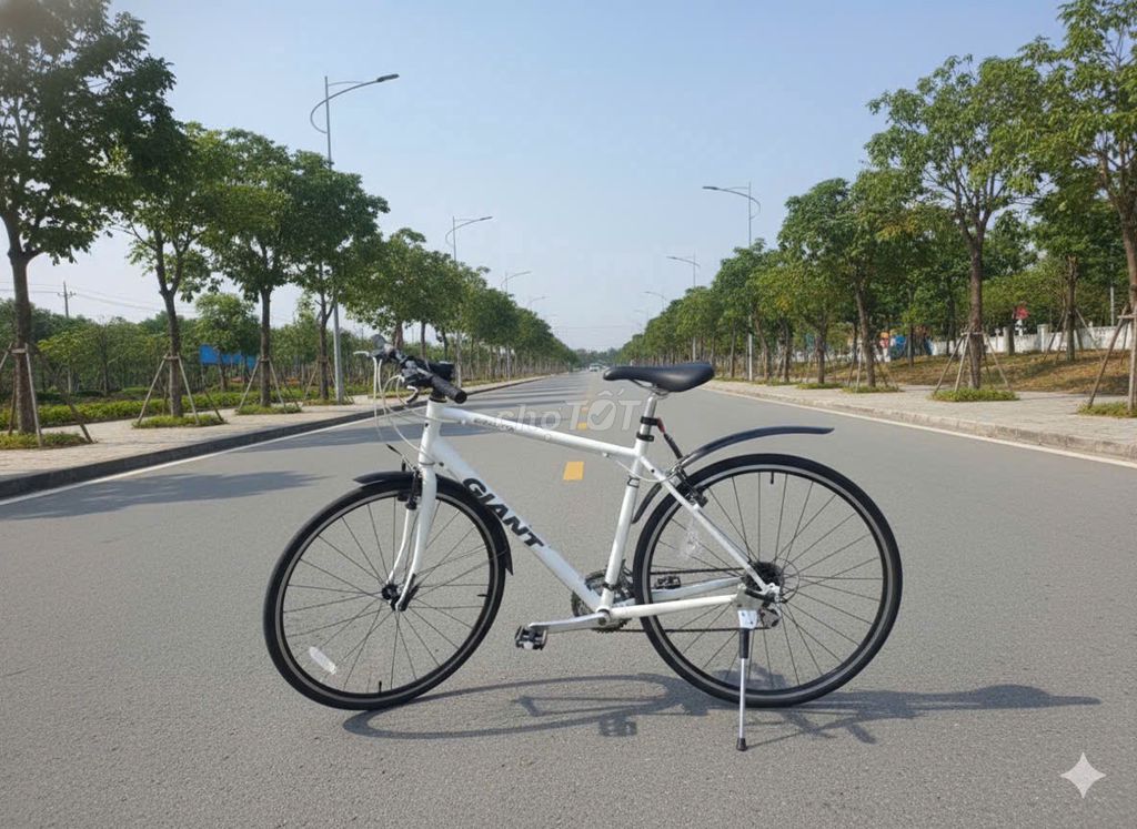 Xe đạp Giant R3 nội địa Nhật. Mua bán Xe đạp tại Thành phố Hồng Ngự Đồng Tháp được đăng bởi Bằng Lê hình 1