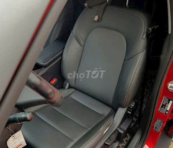 АВТОМОБИЛЬ-ПРИЕМНИК VF5 60TR - ПОДДЕРЖКА: ВИНОГРАДНЫЙ/БЕЖЕВЫЙ/ЗЕЛЕНЫЙ - ПЛОХАЯ СУМКА