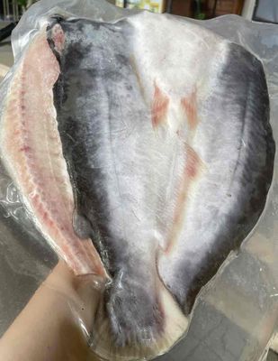 KHÔ CÁ DỨA MỘT NẮNG CHUẨN 2 SỌC CẦN GIỜ- HÀNG VIP. Mua bán Đồ ăn, thực phẩm và các loại khác tại Quận Gò Vấp Tp Hồ Chí Minh được đăng bởi Sami FnB