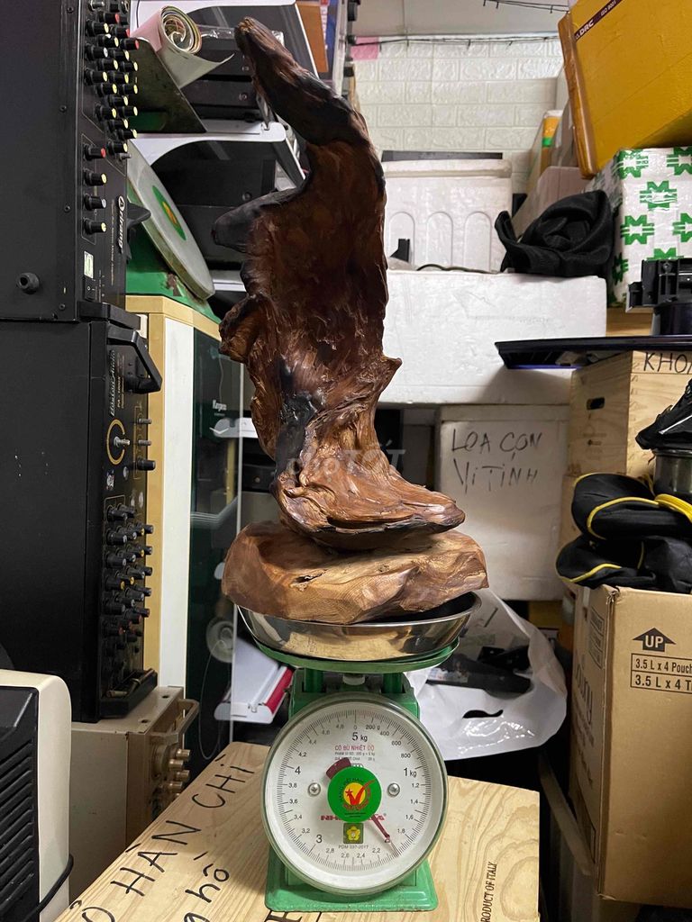 Lũa gỗ trưng bày phòng khách thơm tự nhiên