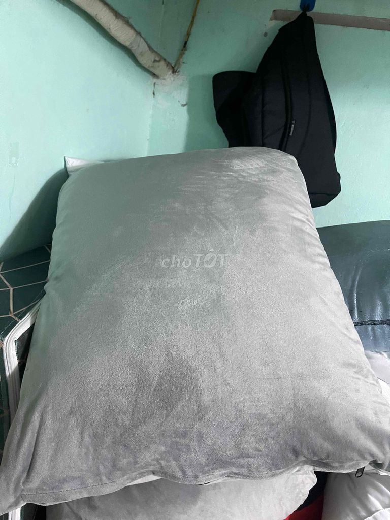 Gối bông xám 40x60cm. Mua bán Giường, chăn ga gối nệm tại Quận Ninh Kiều Cần Thơ được đăng bởi Thái Ngọc hình 1