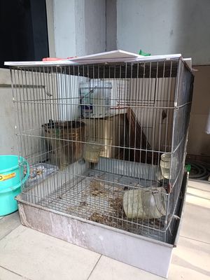 Lồng gà 60 vuông. Mua bán Phụ kiện, Thức ăn, Dịch vụ tại Quận Tân Phú Tp Hồ Chí Minh được đăng bởi Trí vũ