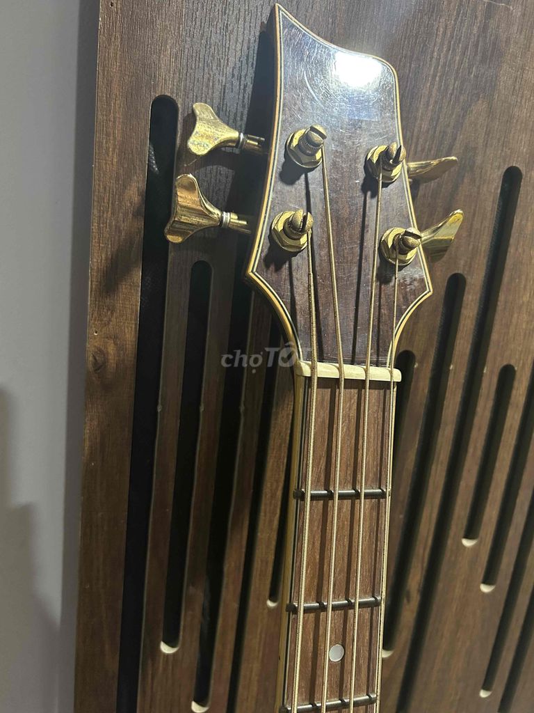 Guitar Bass Thùng