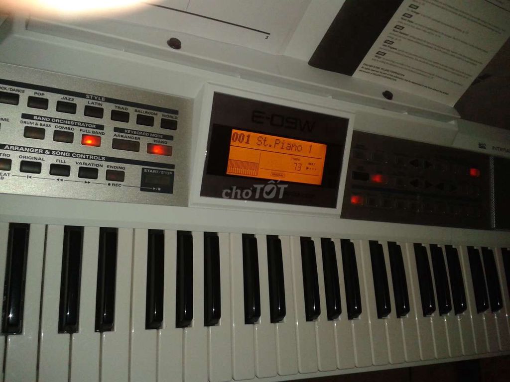 Đàn organ roland e09-w zin