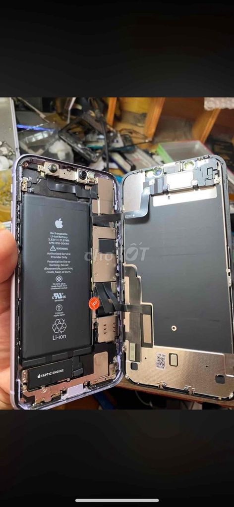 iPhone 11 Tím Máy zin. Mua bán Điện thoại tại Huyện An Dương Hải Phòng được đăng bởi Hữu Tín Nguyễn hình 1