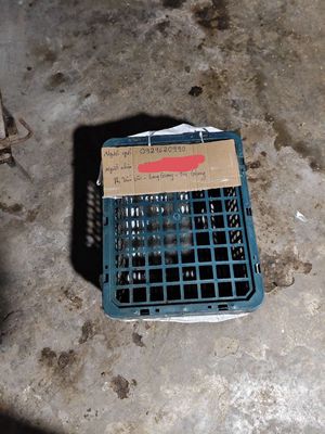 hầu mang tai tốc đô. Mua bán Gà tại Huyện Đan Phượng Hà Nội được đăng bởi Nam Duyên