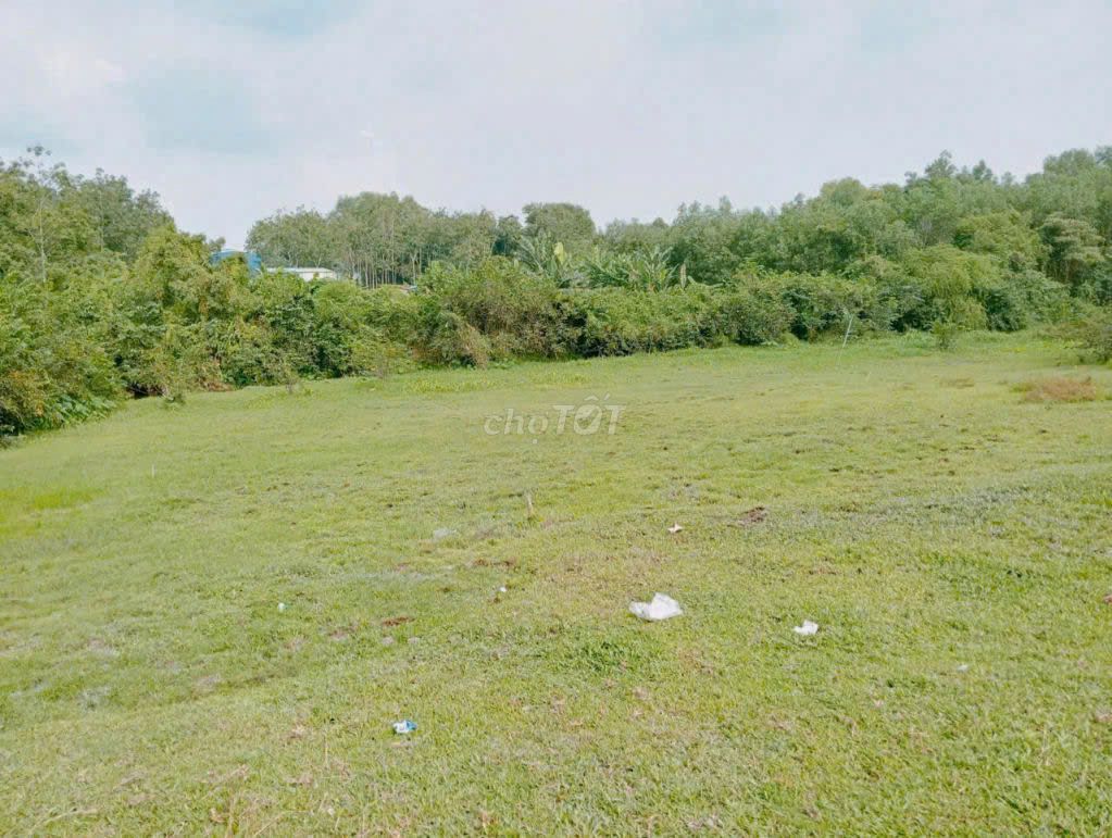 Bán Lô Đất  Sau KCN Long Đức,H. Long Thành, 3500m2, Giá 5Ty8 TL. Mua bán đất tại Huyện Long Thành Đồng Nai được đăng bởi Trần Thái CTA hình 4
