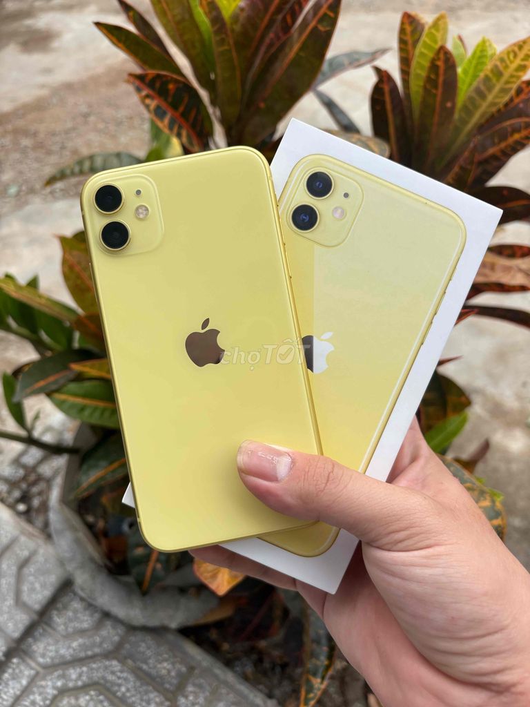 iPhone 11 64GB Full chức năng - Zin nguyên bản. Mua bán Điện thoại tại Thị xã Hương Thủy Thừa Thiên Huế được đăng bởi Ho Van hình 1