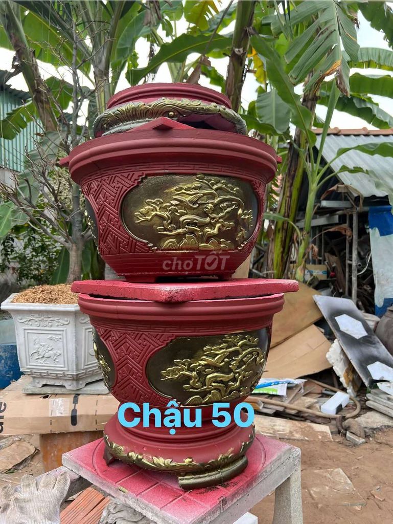 Cần bán chậu tròn 50cm như hình 180k