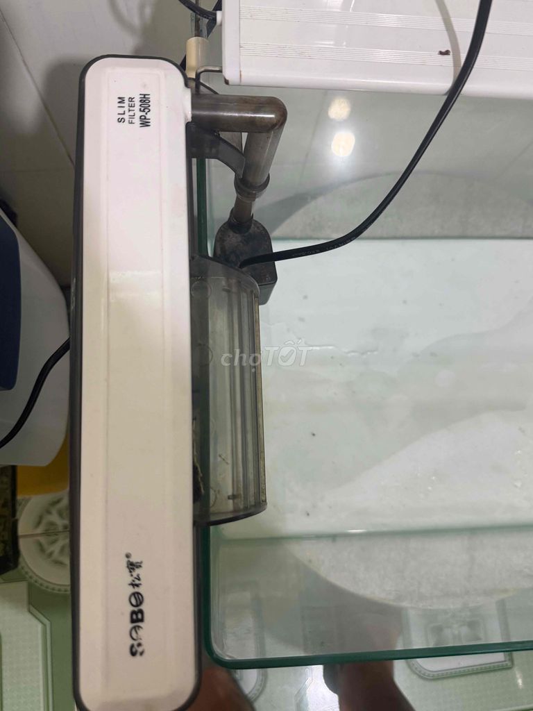 Lọc nước bể cá SABO WP-508H Trắng 680 lít/giờ. Mua bán Phụ kiện, Thức ăn, Dịch vụ tại Thành phố Thủ Đức Tp Hồ Chí Minh được đăng bởi Trung hình 1