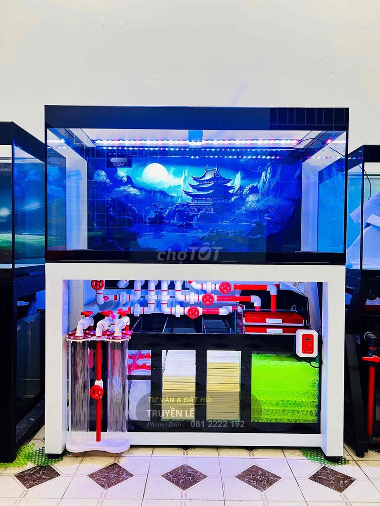 Hồ cá cảnh 133x68x68 cm. Mua bán Phụ kiện, Thức ăn, Dịch vụ tại Quận 12 Tp Hồ Chí Minh được đăng bởi Truyền Lê hình 1