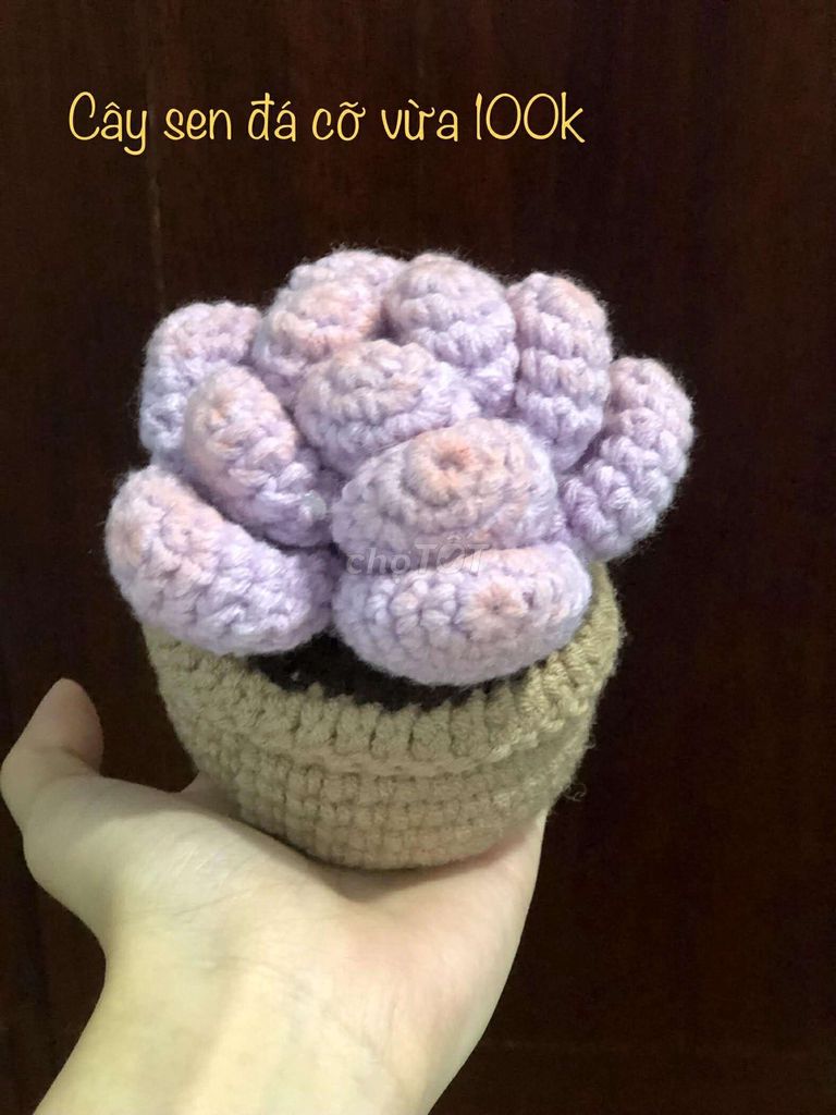 (Deaf) Cây sen đá handmade len tím cỡ vừa. Mua bán Cây cảnh, đồ trang trí tại Quận 6 Tp Hồ Chí Minh được đăng bởi Thanh Thanh hình 1