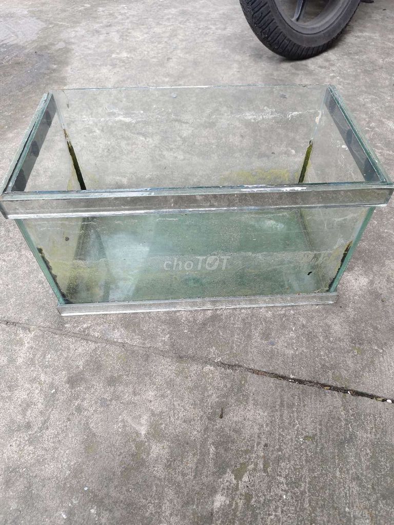 hồ cá nhỏ để lâu không dùng. Mua bán Phụ kiện, Thức ăn, Dịch vụ tại Quận 12 Tp Hồ Chí Minh được đăng bởi Nhi Trương hình 2