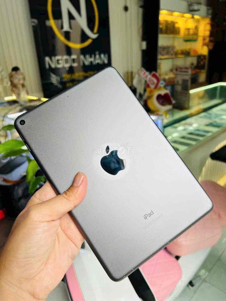 ipad mini 5 /64G wifi gray Qte mỹ zin all pin93%