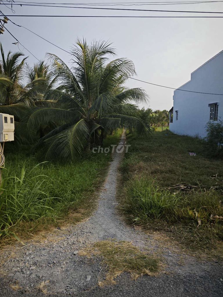 Cần bán lô đất ở bình ninh chợ gạo