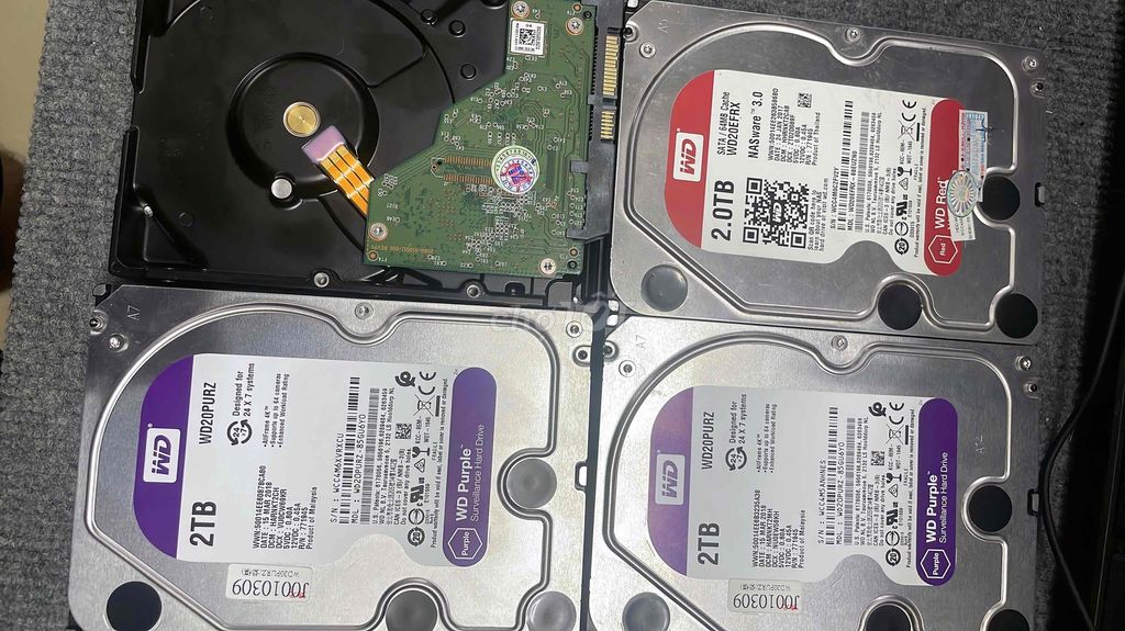 Hdd Wd Purple 2Tb tím sức khoẻ 100% đẹp keng