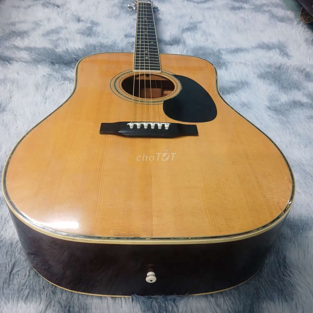 Guitar Acoustic Cat's Eyes CE 200D