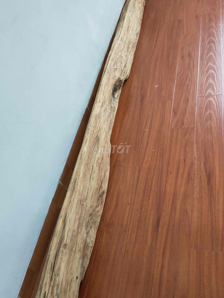 Gỗ thơm đường kính 20-2m. Mua bán Đồ sưu tầm, đồ cổ tại Quận Cầu Giấy Hà Nội được đăng bởi chín hình 1