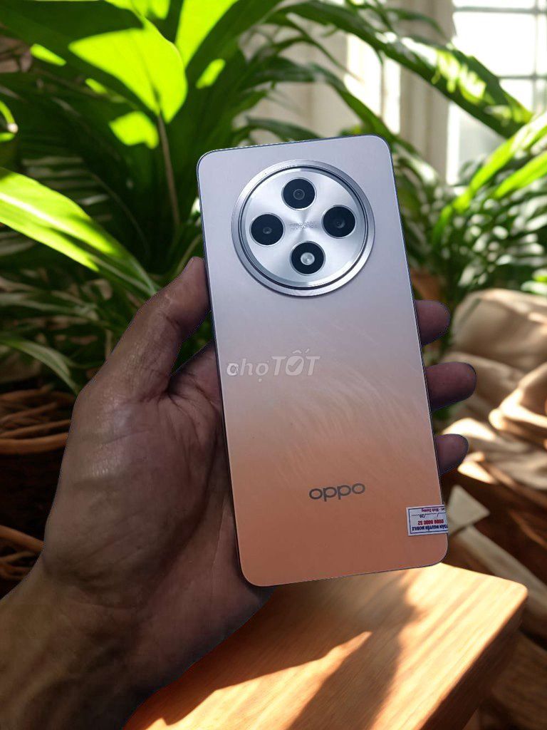 OPPO Reno 12F 256GB Đã sử dụng. Mua bán Điện thoại tại Quận Gò Vấp Tp Hồ Chí Minh được đăng bởi AN MOBILE hình 1