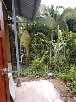 có dư phòng cho thuê