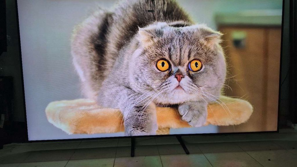 Tivi Samsung 85Q60BAK QLED 4K 85 inch 2022. Mua bán Tivi, Âm thanh tại Quận Tân Bình Tp Hồ Chí Minh được đăng bởi Ân Phạm hình 1