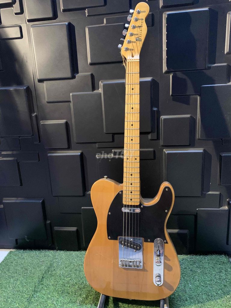 Đàn guitar điện PHOTOGENIC Tele. Mua bán Nhạc cụ tại Thành phố Thủ Đức Tp Hồ Chí Minh được đăng bởi Hoàng Lâm hình 1
