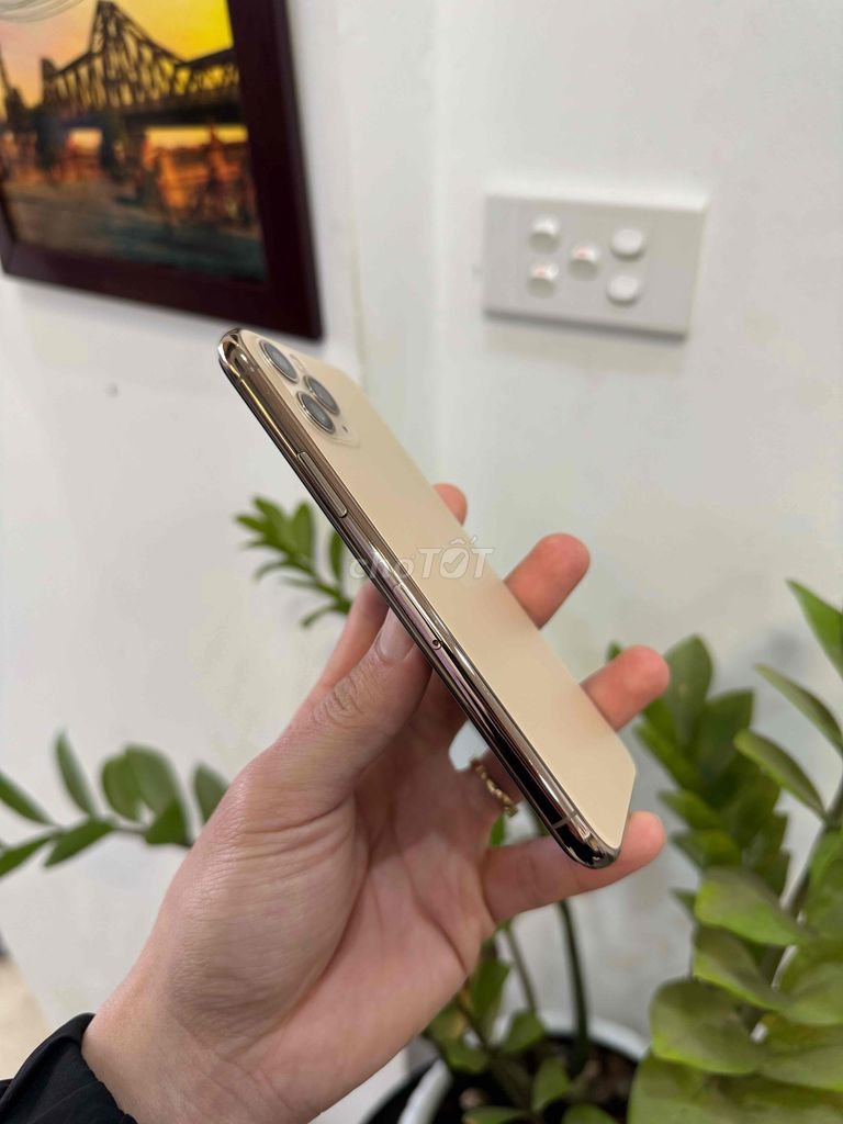 Iphone 11 Pro Gold 256gb Q.tế