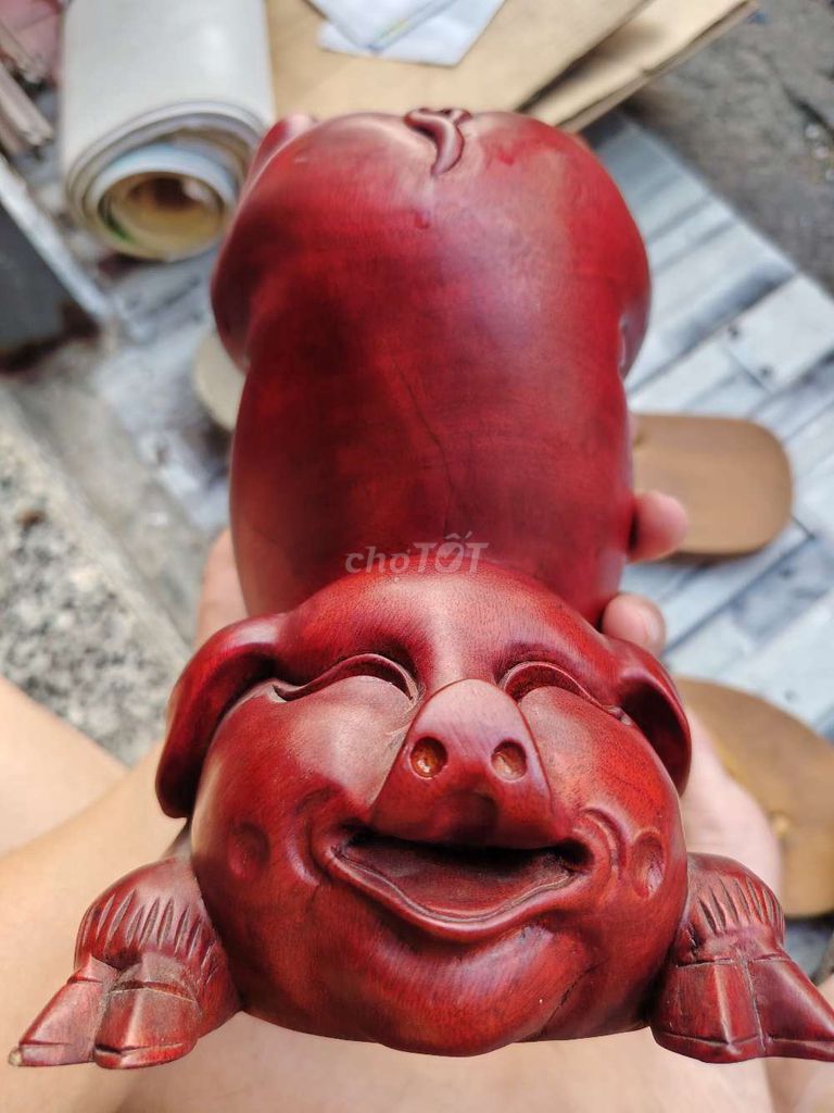 Tượng trang trí Gỗ Heo nằm phong thủy gỗ xịn ạ. Mua bán Đồ sưu tầm, đồ cổ tại Quận 12 Tp Hồ Chí Minh được đăng bởi Văn Điền hình 1