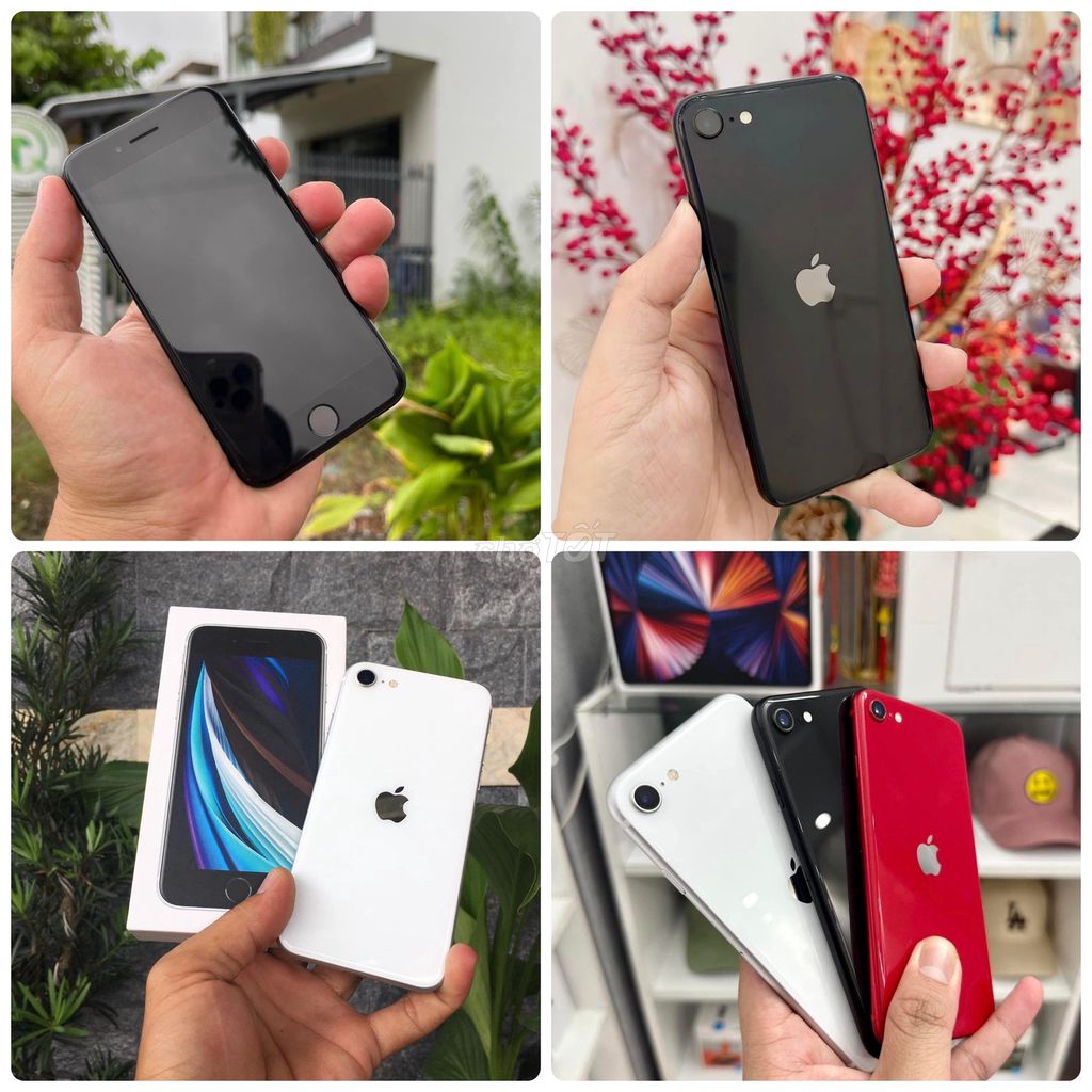 SE 2020 Quốc Tế 256GB/128GB/64Gb Có Bh có ship. Mua bán Điện thoại tại Quận Tân Phú Tp Hồ Chí Minh được đăng bởi Thảo Anh Apple Giá sỉ hình 5