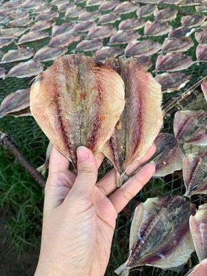 khô cá chỉ vàng miền tây quê em. Mua bán Đồ ăn, thực phẩm và các loại khác tại Quận 6 Tp Hồ Chí Minh được đăng bởi Trà My