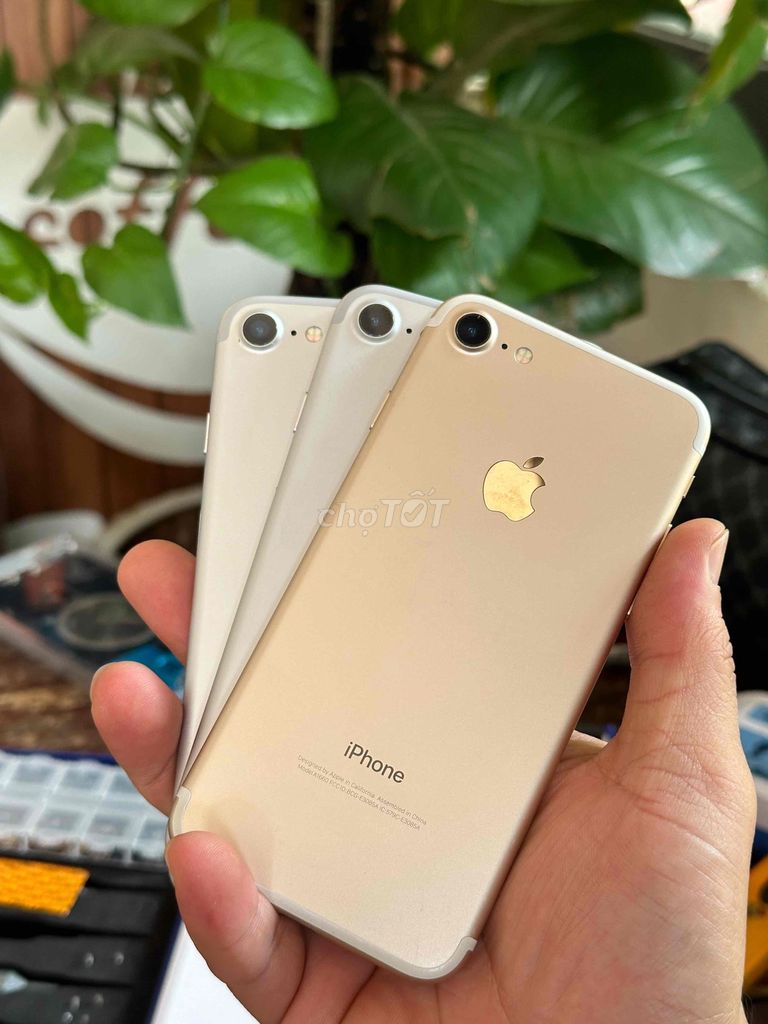 Apple iPhone 7 32GB Vàng, Bạc zin. Mua bán Điện thoại tại Thành phố Buôn Ma Thuột Đắk Lắk được đăng bởi Xuân Tr hình 1