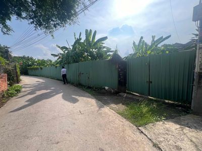 Đất sổ đỏ 964,4m2 đường Đinh Quang Ân Thành Phố Biên Hoà. Mua bán đất tại Thành phố Biên Hòa Đồng Nai được đăng bởi A.Độ