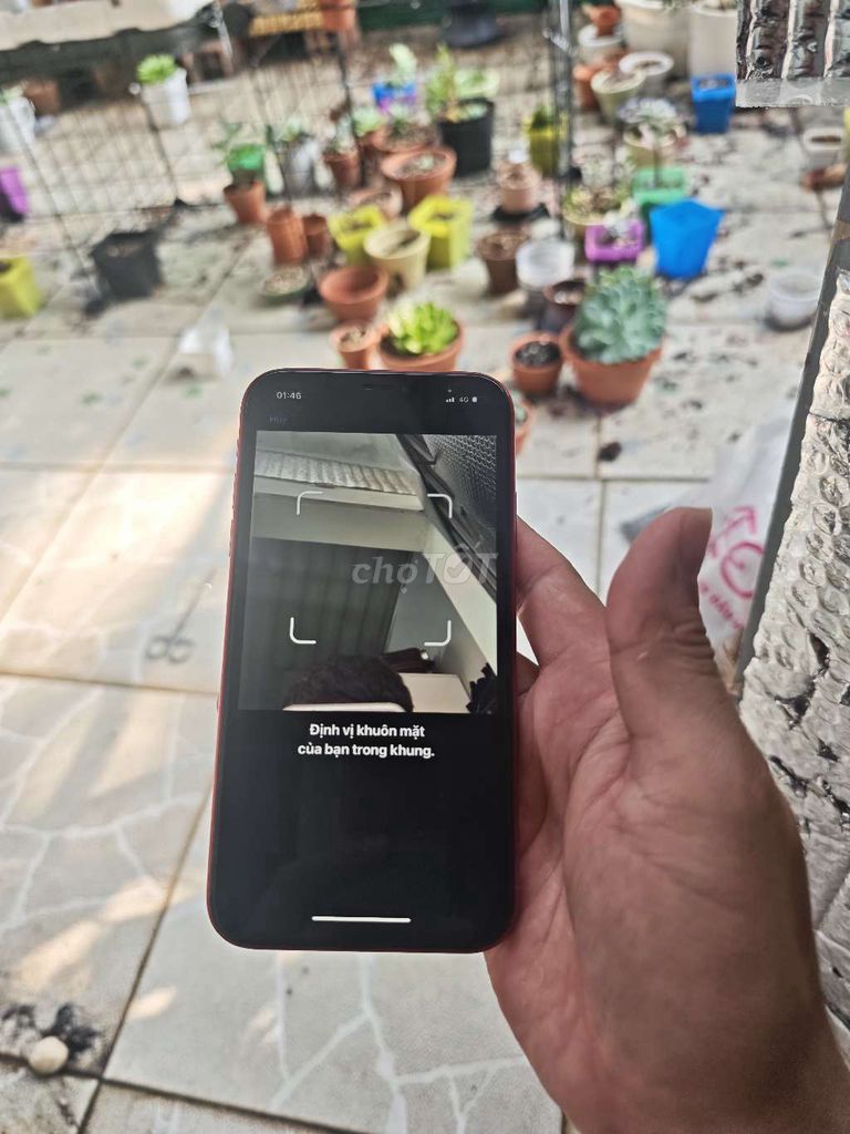 Apple iPhone XR 128GB Đỏ. Mua bán Điện thoại tại Quận Tân Phú Tp Hồ Chí Minh được đăng bởi hoang hình 1