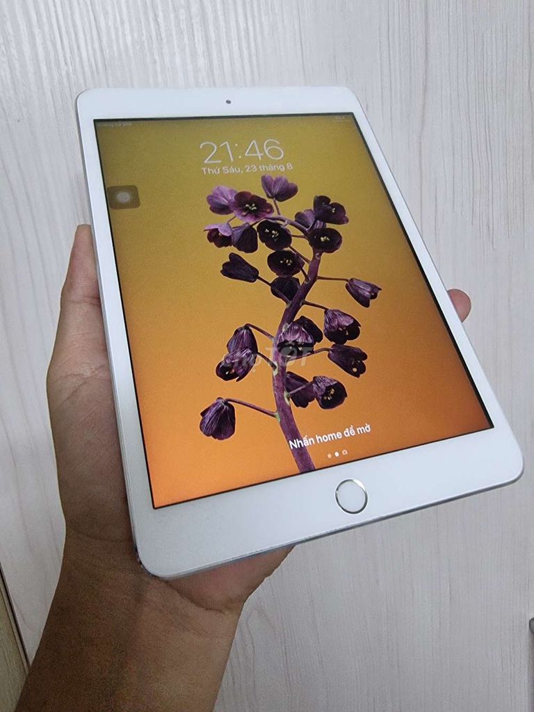 CẦN THANH LÝ IPAD MINI 3 16G 4G FULL ZIN ÁP.