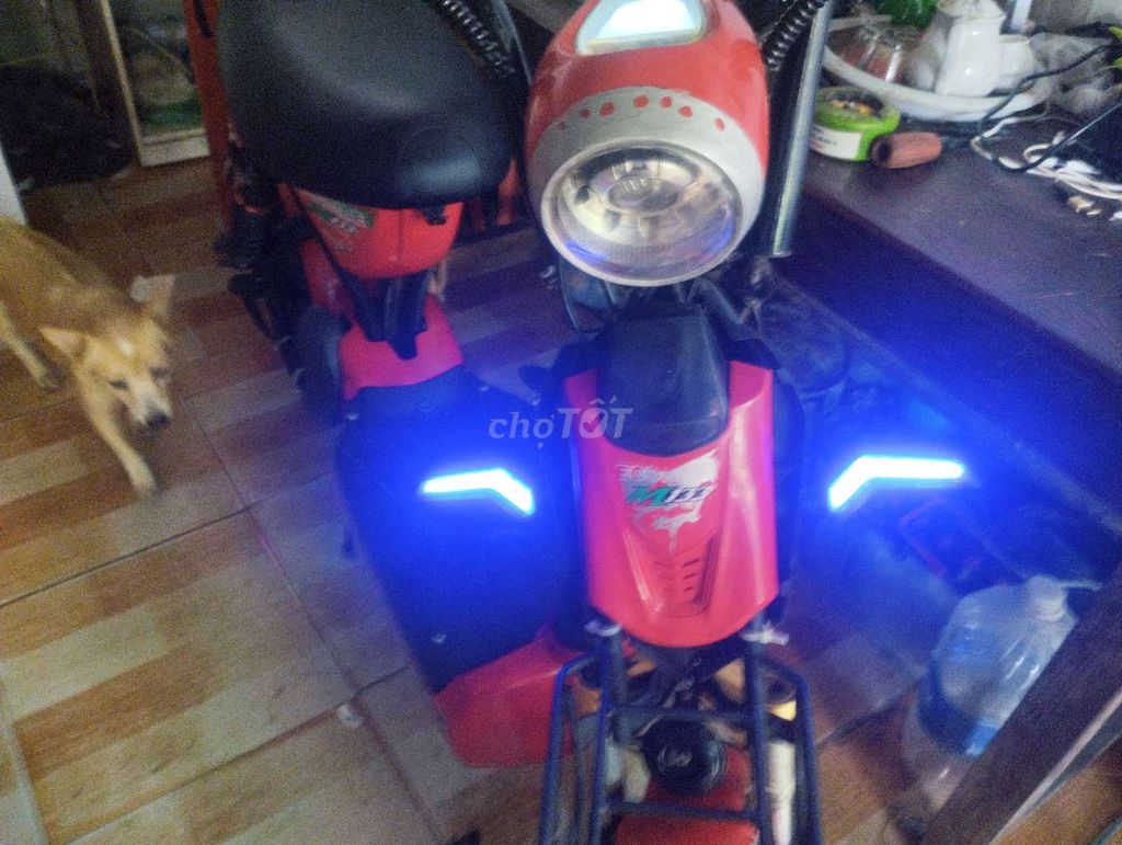 Cần bán gấp Xe điện 133 full bộ bình mới IC 1200 w. Mua bán Xe điện tại Huyện Thới Bình Cà Mau được đăng bởi Mo Bà hình 3