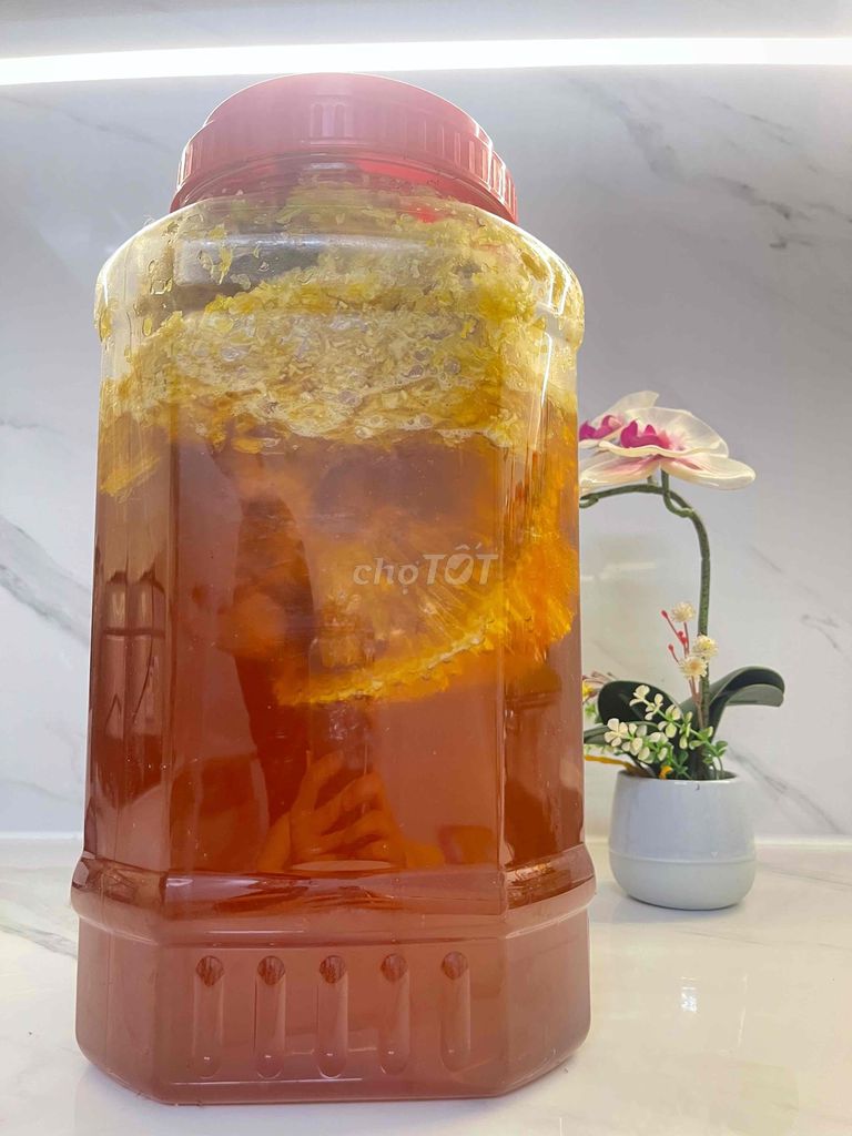 MẬT ONG TỰ NHIÊN K’BANG GIA LAI. Mua bán Đồ ăn, thực phẩm và các loại khác tại Quận Gò Vấp Tp Hồ Chí Minh được đăng bởi Dương Lê hình 5