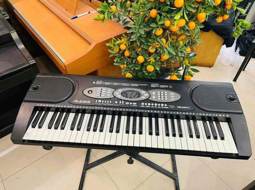 organ giá rẻ bảo hành 1 năm