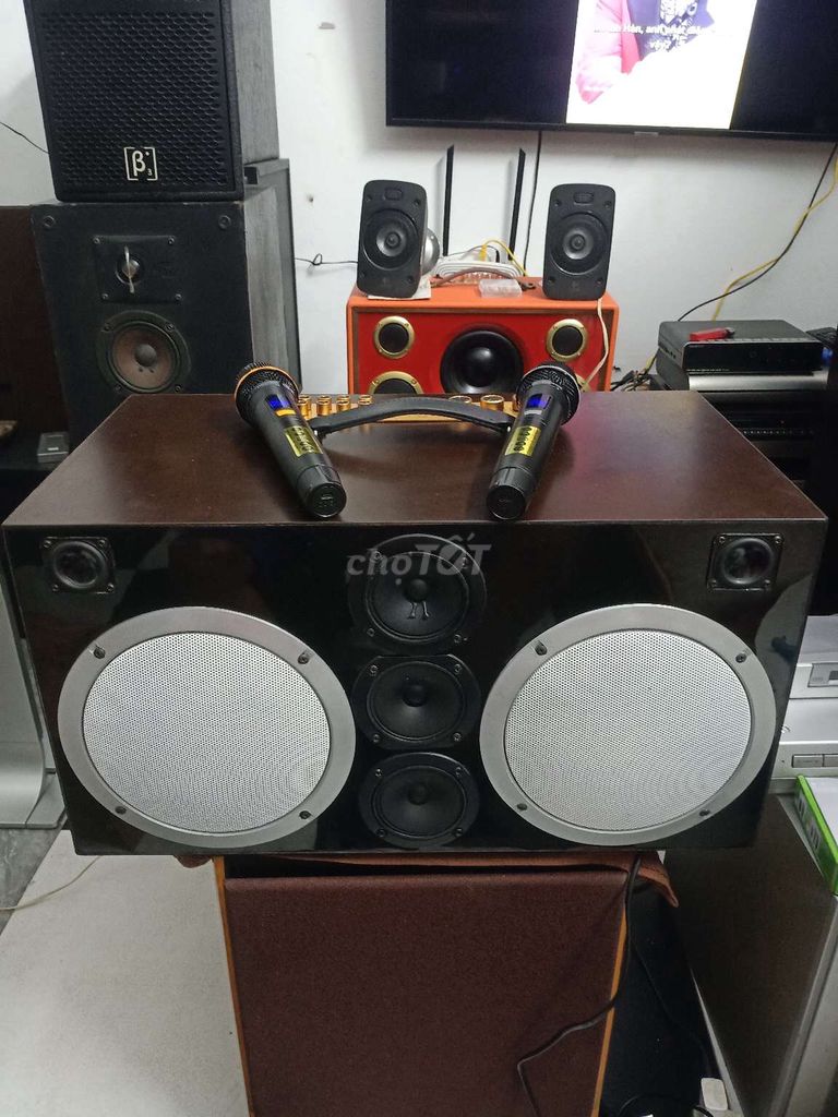 Loa karaoke Daly bát 20cm. Mua bán Tivi, Âm thanh tại Quận Tây Hồ Hà Nội được đăng bởi phạm tiên hình 1