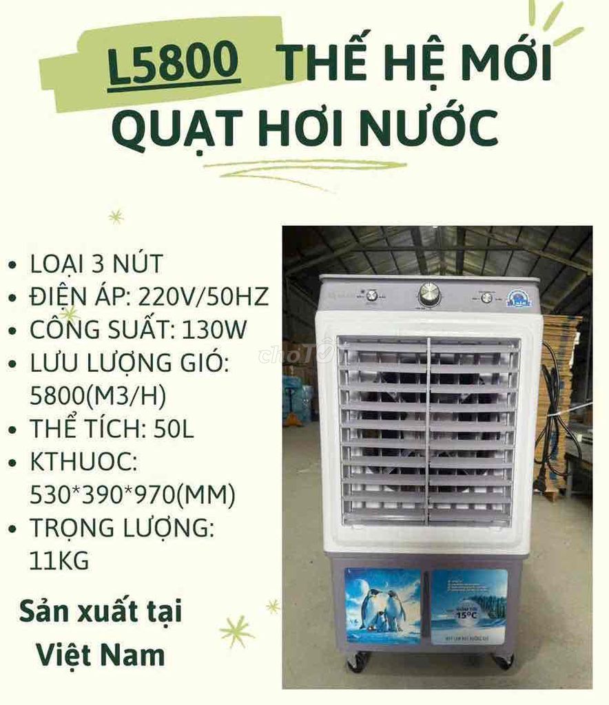 quạt hơi nước 50L
