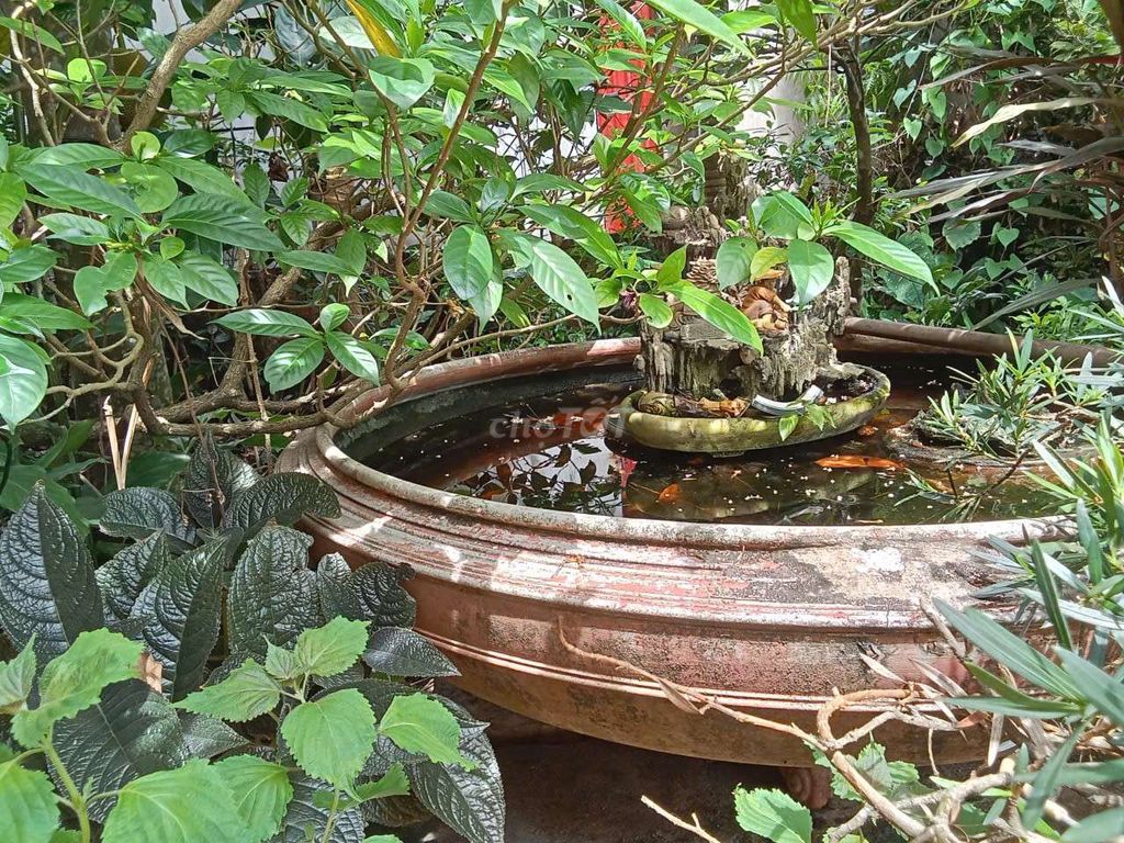 chậu  cảnh Gốm Hòn non bộ. Mua bán Cây cảnh, đồ trang trí tại Huyện Gia Bình Bắc Ninh được đăng bởi Phúc An hình 1