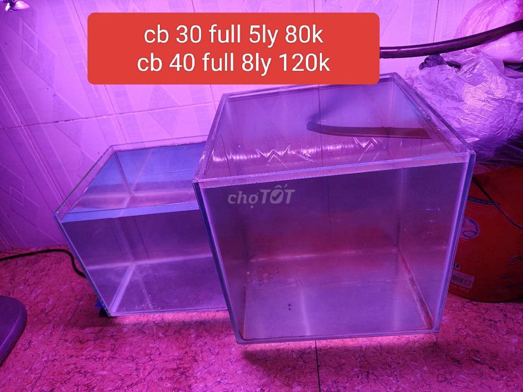 Hồ cubic 40 và 30 giá rẽ