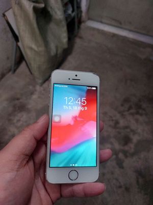 Iphone 5s có vân tay 64gb. Mua bán Điện thoại tại Huyện Hóc Môn Tp Hồ Chí Minh được đăng bởi dung