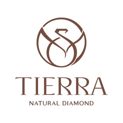 Công Ty Cổ Phần Tierra logo
