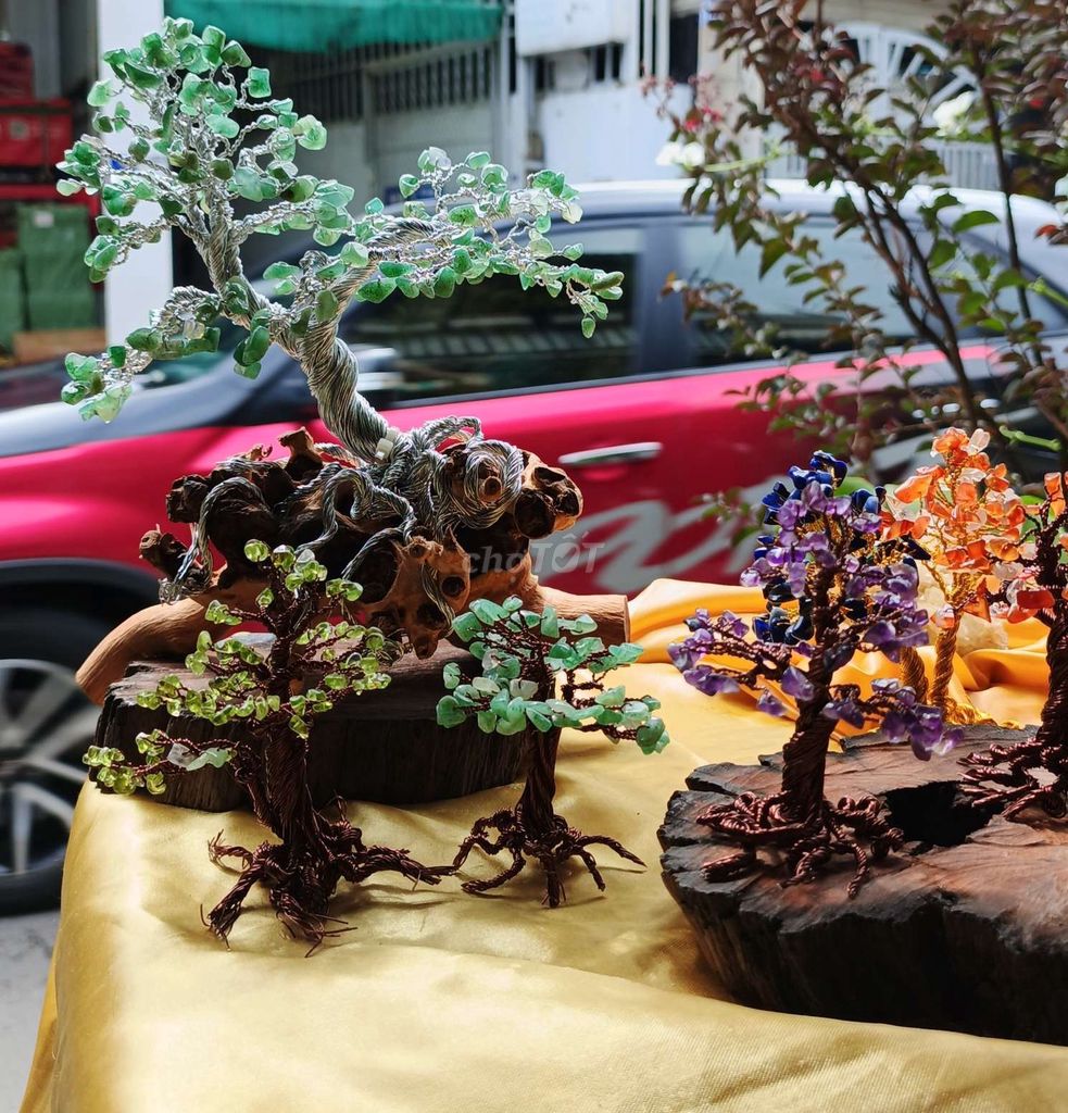 Cây cảnh phong thủy Đá kim loại gỗ. Mua bán Cây cảnh, đồ trang trí tại Thành phố Thủ Đức Tp Hồ Chí Minh được đăng bởi Mai Ngọc hình 1