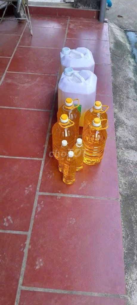 Dầu lạc Hòa Bình, Phú Thọ 1 lít. Mua bán Đồ ăn, thực phẩm và các loại khác tại Huyện Bình Chánh Tp Hồ Chí Minh được đăng bởi Đinh Quang Sáng hình 1