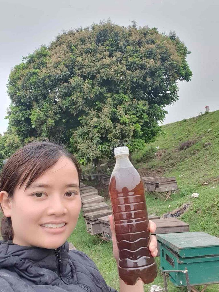 Mật ong hoa nhãn nguyên chất (chai nhỏ 330ml). Mua bán Đồ ăn, thực phẩm và các loại khác tại Quận Long Biên Hà Nội được đăng bởi Thành Long hình 1