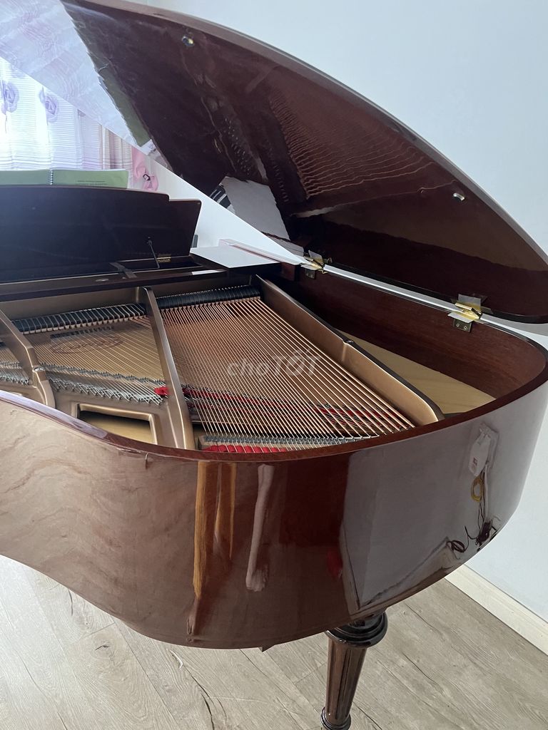 ESSEX GRAND PIANO EGP-155