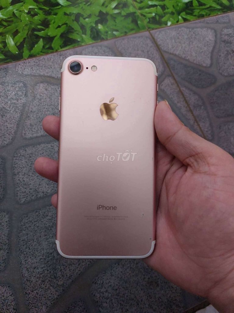 Apple iPhone 7G Vàng hồng Đã sử dụng. Mua bán Điện thoại tại Huyện Hóc Môn Tp Hồ Chí Minh được đăng bởi dung hình 1