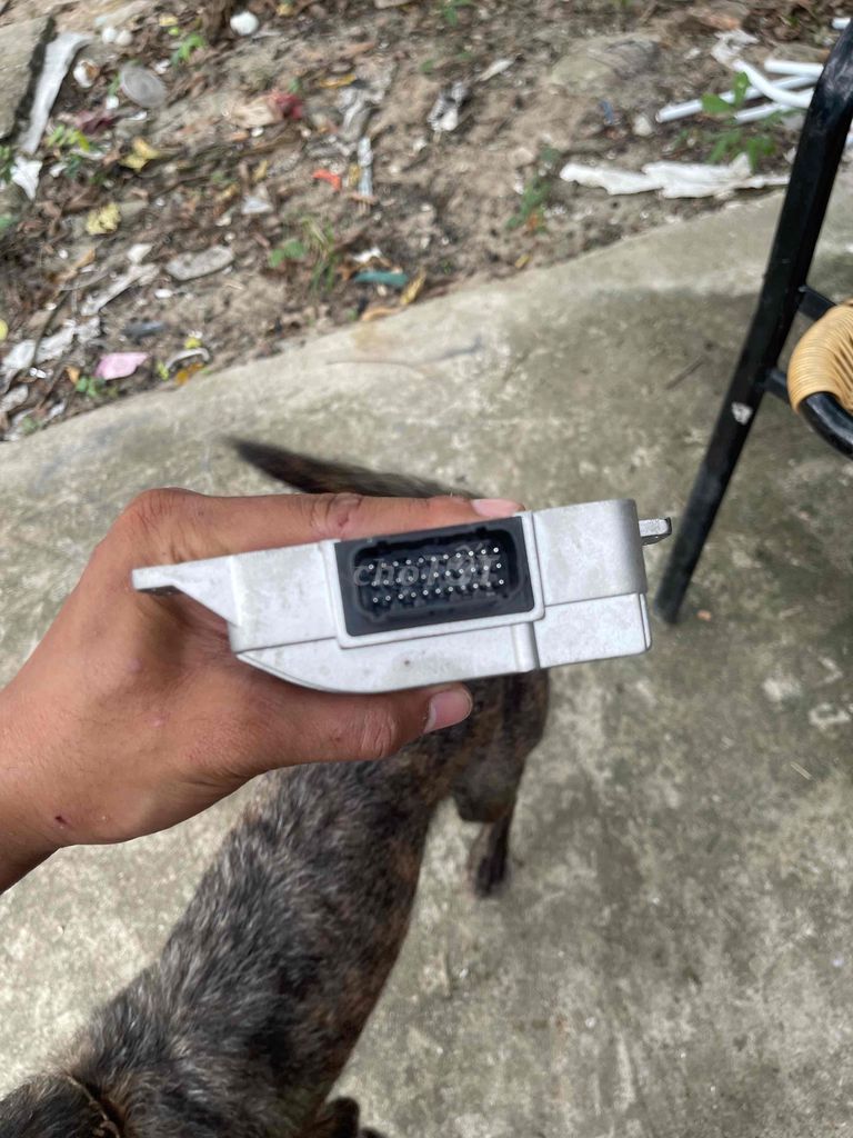 ecu lead. Mua bán Phụ tùng xe tại Huyện Thanh Trì Hà Nội được đăng bởi Tedomi Nguyễn hình 2