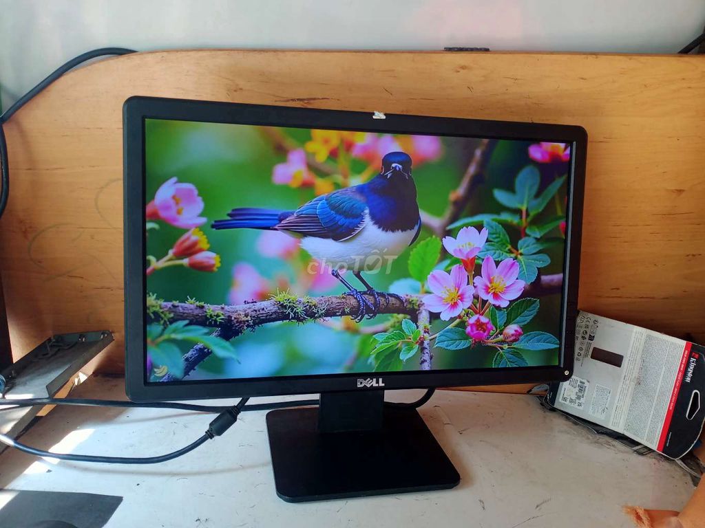 Màn hình led 19" dell chất lượng 550k